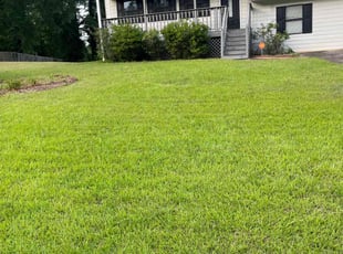 Levy P.'s Lawn Maintenance service result