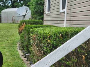 Bush Trimming by Victor Gaspar for Cory G. in Charlotte, NC