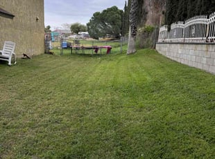 Drew N.'s Lawn Care service result