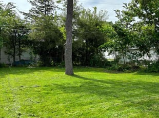 Farzad K.'s Grass Cutting service result