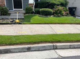 Missy B.'s Lawn Care service result