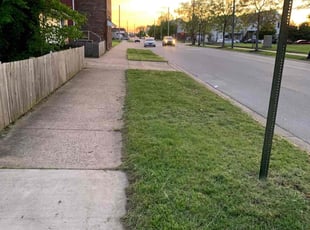 NOSLEN A.'s Lawn Care service result