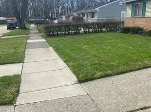 Glenn H.'s Lawn Mowing Service service result