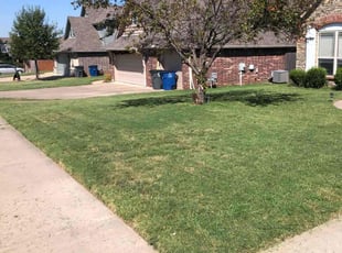 Lisa b.'s Lawn Mowing Service service result