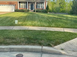 Angela J.'s Yard Cutting service result