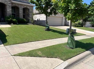 Jen N.'s Lawn Service service result