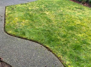 Margaret W.'s Lawn Mowing service result