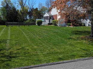 Cheryl C.'s Grass Cutting service result
