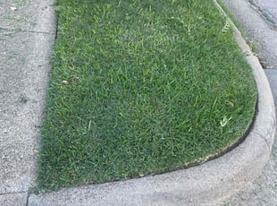 Michael B.'s Lawn Mowing service result