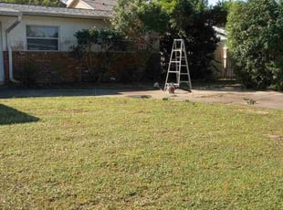 Bush Trimming by Shane Ray for Nicholas K. in Titusville, FL