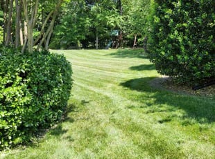 Rita G.'s Lawn Care service result