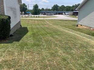Carter S.'s Yard Cutting service result