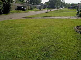 Julia G.'s Lawn Maintenance service result