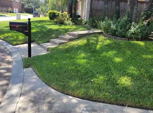 Theo B.'s Lawn Maintenance service result