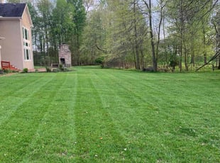 Ali R.'s Lawn Mowing service result