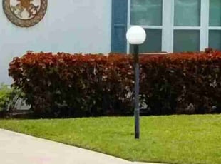 JUDY R.'s Lawn Maintenance service result