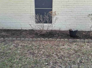 Cleanups by Hugo Melgar for Gregory S. in Houston, TX