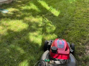 Christie B.'s Flower Bed Weeding service result