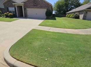 Thuong N.'s Grass Cutting service result