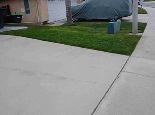 Melody W.'s Yard Cutting service result