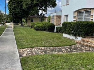 Mark F.'s Bush Trimming service result