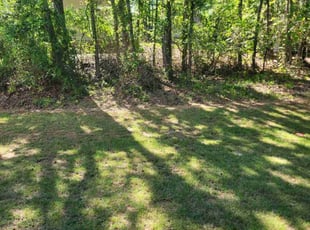 Cleanups by Shon Matthews for Quanisha F. in Fayetteville, GA