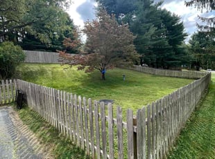 Alex M.'s Lawn Mowing Service service result