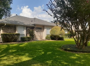 Bush Trimming by Courtney Holmes for Jennifer H. in Dallas, TX