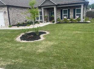 Lettrice W.'s Lawn Mowing service result