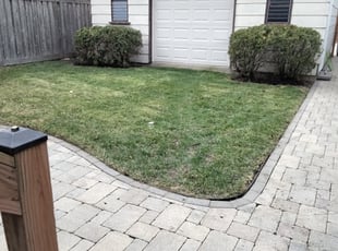 Bush Trimming by Jose Perez for Dominic C. in Chicago, IL