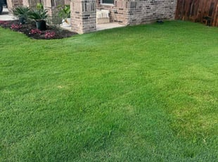 Jaye D.'s Yard Cutting service result