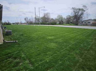 Yvonne M.'s Grass Cutting service result