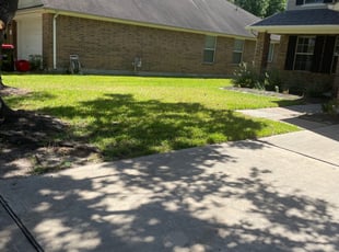 Leaf Removal by Thomas Foster for Anna I. in Katy, TX