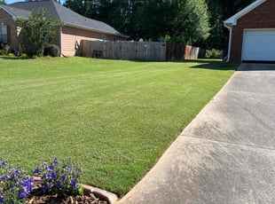 Joy J.'s Lawn Mowing service result