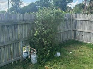 Bush Trimming by Michael Wilmoth for Daniel M. in Rogers, AR