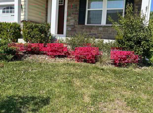 Cleanups by Tommy Curtis for Maa Shepsu Menab N. in Frederick, MD