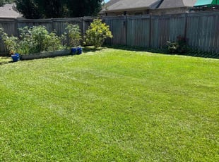 Ann J.'s Lawn Mowing service result