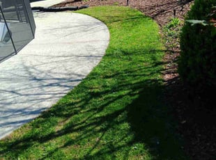 Dave B.'s Lawn Mowing service result