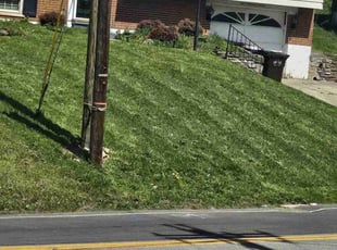 Ruby L.'s Lawn Service service result
