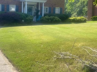 Bush Trimming by Terrince up Gatewood for Bella P. in Douglasville, GA