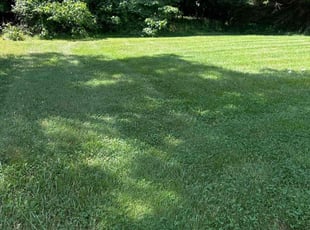 RA S.'s Lawn Maintenance service result