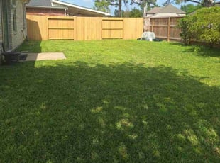 Deloris T.'s Lawn Mowing service result