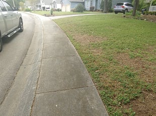 Leaf Removal by Jonathan Wright for Olivia E. in Rock Hill, SC