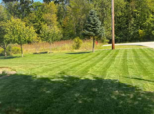 Aijaz D.'s Lawn Maintenance service result