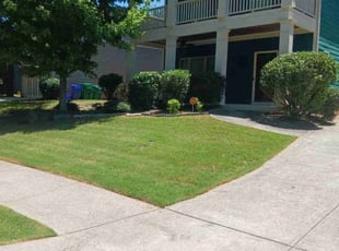 Bush Trimming by Jazzmin Earl for Gavin P. in Atlanta, GA