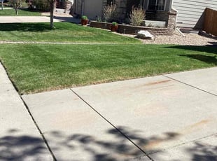Brenda C.'s Lawn Care service result