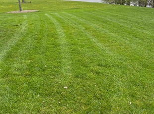 Devin C.'s Lawn Mowing Service service result