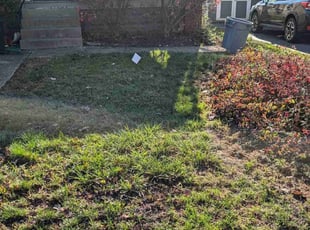 Leaf Removal by Josh Papworth for Linda M. in Columbus, OH