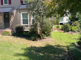 Bush Trimming by Lailani Jacobs for David M. in Raleigh, NC