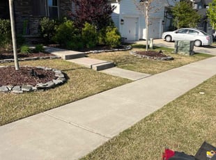 Jyothishwar S.'s Lawn Care service result